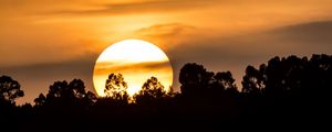 Preview wallpaper forest, silhouette, sun, sunset, clouds, nature