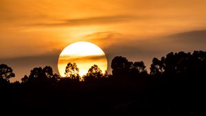 Preview wallpaper forest, silhouette, sun, sunset, clouds, nature