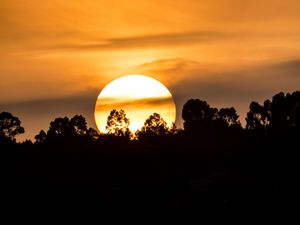 Preview wallpaper forest, silhouette, sun, sunset, clouds, nature