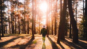 Preview wallpaper forest, silhouette, sunlight, autumn, nature