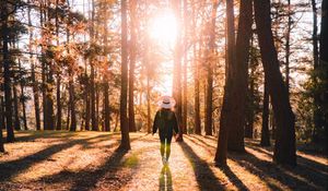 Preview wallpaper forest, silhouette, sunlight, autumn, nature