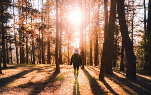 Preview wallpaper forest, silhouette, sunlight, autumn, nature
