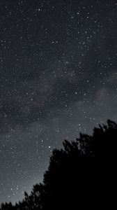 Preview wallpaper forest, silhouettes, stars, night, dark