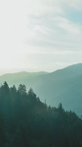 Preview wallpaper forest, sky, fog, mountains