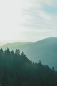 Preview wallpaper forest, sky, fog, mountains