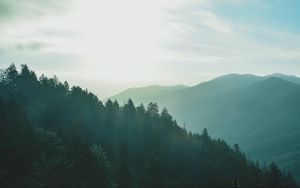 Preview wallpaper forest, sky, fog, mountains