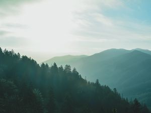 Preview wallpaper forest, sky, fog, mountains