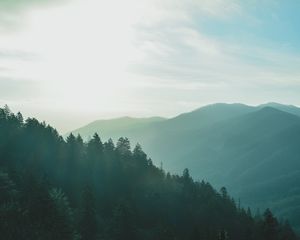 Preview wallpaper forest, sky, fog, mountains