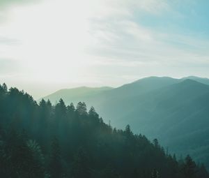 Preview wallpaper forest, sky, fog, mountains