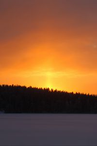 Preview wallpaper forest, sky, sunset, dark, snow, winter