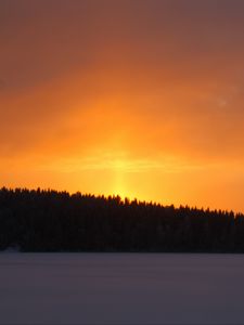 Preview wallpaper forest, sky, sunset, dark, snow, winter