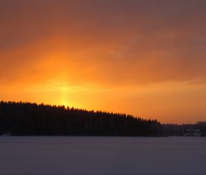Preview wallpaper forest, sky, sunset, dark, snow, winter
