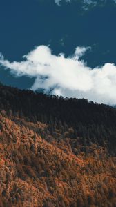 Preview wallpaper forest, slope, mountain, trees, clouds