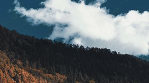 Preview wallpaper forest, slope, mountain, trees, clouds