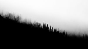 Preview wallpaper forest, slope, silhouettes, trees, black and white