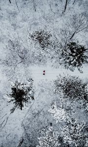 Preview wallpaper forest, snow, aerial view, winter, trees, people