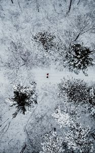Preview wallpaper forest, snow, aerial view, winter, trees, people
