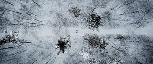 Preview wallpaper forest, snow, aerial view, winter, trees, people