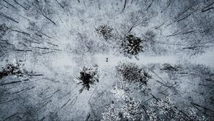 Preview wallpaper forest, snow, aerial view, winter, trees, people