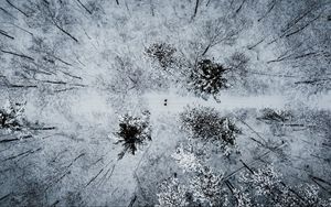 Preview wallpaper forest, snow, aerial view, winter, trees, people