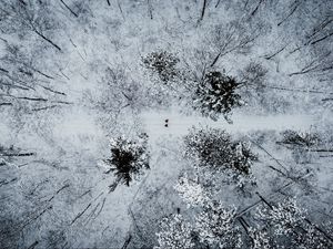Preview wallpaper forest, snow, aerial view, winter, trees, people