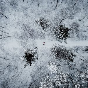 Preview wallpaper forest, snow, aerial view, winter, trees, people