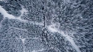 Preview wallpaper forest, snow, aerial view, trees, winter