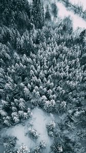 Preview wallpaper forest, snow, aerial view, winter, nature