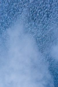 Preview wallpaper forest, snow, aerial view, cloud, white