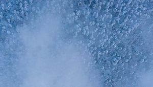 Preview wallpaper forest, snow, aerial view, cloud, white