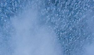Preview wallpaper forest, snow, aerial view, cloud, white