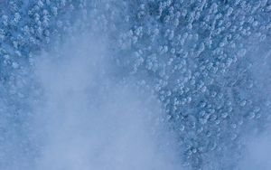 Preview wallpaper forest, snow, aerial view, cloud, white