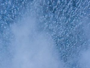 Preview wallpaper forest, snow, aerial view, cloud, white
