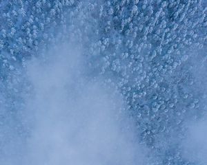 Preview wallpaper forest, snow, aerial view, cloud, white