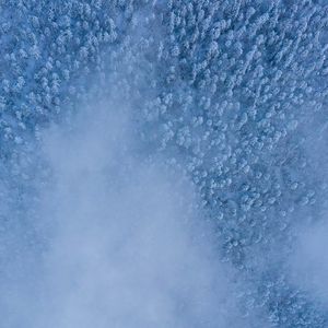 Preview wallpaper forest, snow, aerial view, cloud, white
