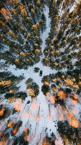 Preview wallpaper forest, snow, car, aerial view, winter
