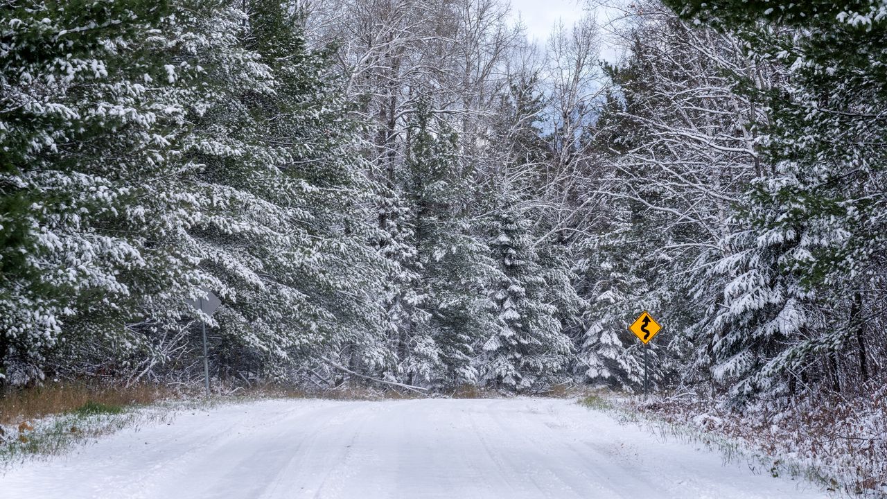 Wallpaper forest, snow, road, signpost, winter