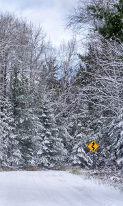 Preview wallpaper forest, snow, road, signpost, winter