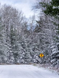 Preview wallpaper forest, snow, road, signpost, winter