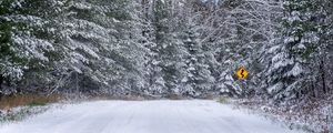 Preview wallpaper forest, snow, road, signpost, winter