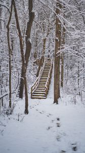 Preview wallpaper forest, snow, stairs, trees, nature