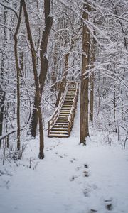 Preview wallpaper forest, snow, stairs, trees, nature