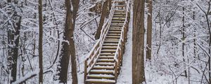 Preview wallpaper forest, snow, stairs, trees, nature