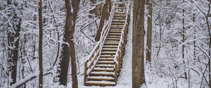 Preview wallpaper forest, snow, stairs, trees, nature