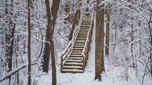 Preview wallpaper forest, snow, stairs, trees, nature