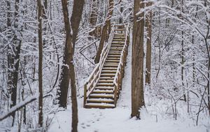 Preview wallpaper forest, snow, stairs, trees, nature