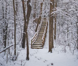 Preview wallpaper forest, snow, stairs, trees, nature