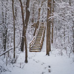 Preview wallpaper forest, snow, stairs, trees, nature