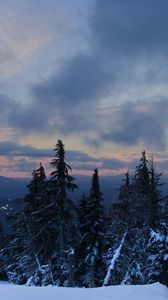 Preview wallpaper forest, snow, trees, winter, mountains, sky, nature