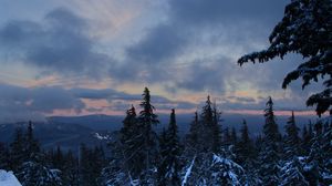 Preview wallpaper forest, snow, trees, winter, mountains, sky, nature